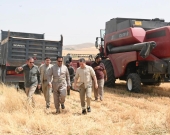 رئيس حكومة إقليم كوردستان يشارك في عملية حصاد المحاصيل في محافظة أربيل