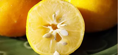 بذور الليمون.. فوائدها لا تصدّق!
