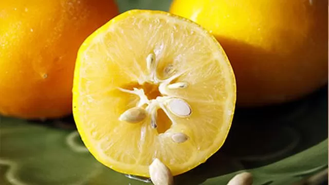 بذور الليمون.. فوائدها لا تصدّق!
