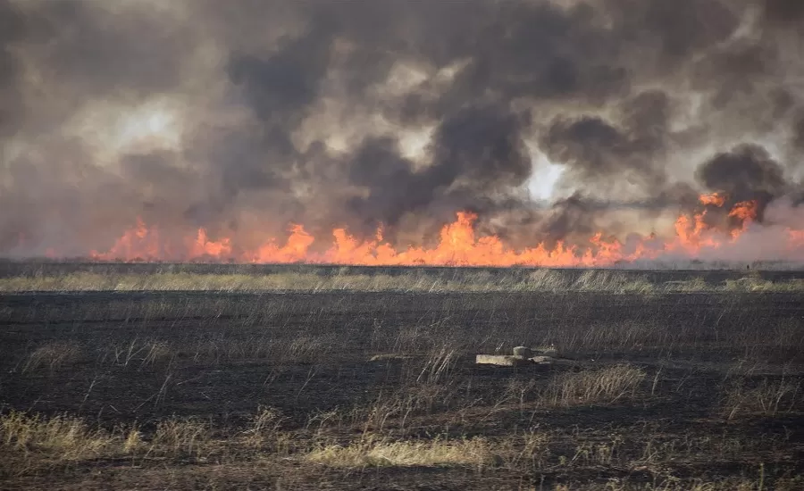 داقوق: المزارعون الكورد يحرسون محاصيلهم ليلاً خشية حرقها من قبل الوافدين العرب