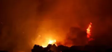 Forest fire closes in on Turkish power station (video)