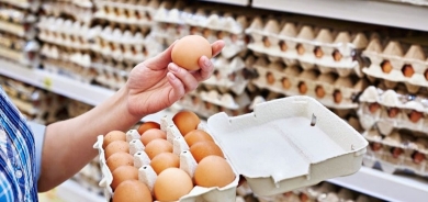 ما الفرق بين البيض العضوي والعادي؟