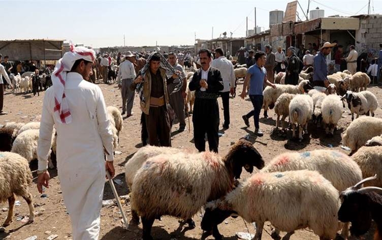 تسجيل حالة اشتباه بالحمى النزفية لطفل في كركوك