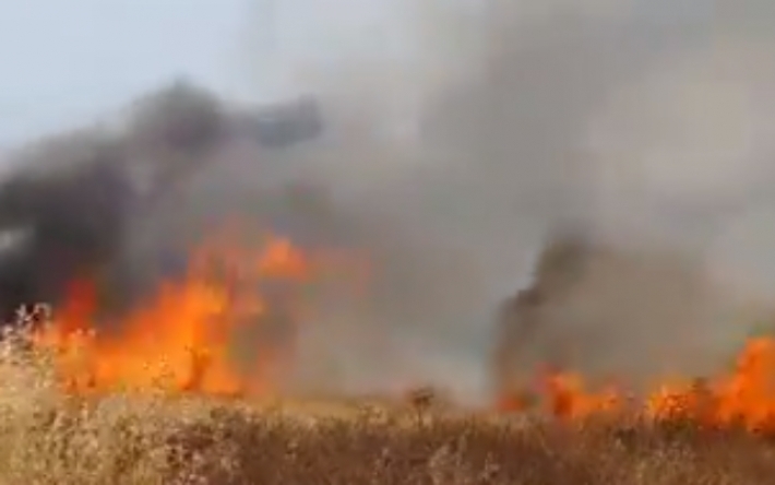 داقوق: حريق يلتهم 30 دونم من محاصيل المزارعين