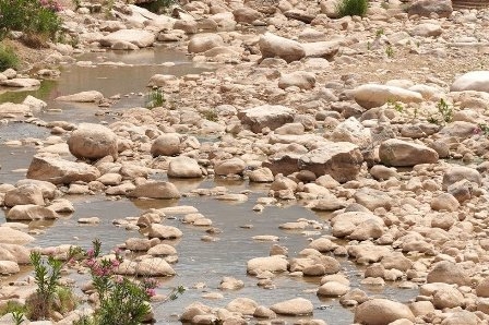 إيران تقطع مياه 