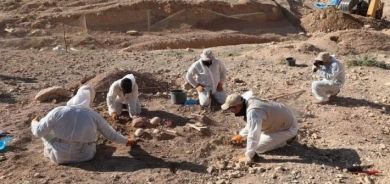 فتح مقبرة جماعیة في شنگال تضم رفات العشرات من ضحايا داعش من الايزيديين