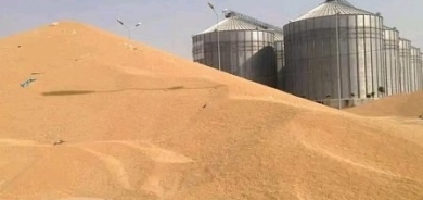 بلغت اكثر من 322 الف طن.. كوردستان تعلن الانتهاء من تسلم الحنطة من الفلاحين