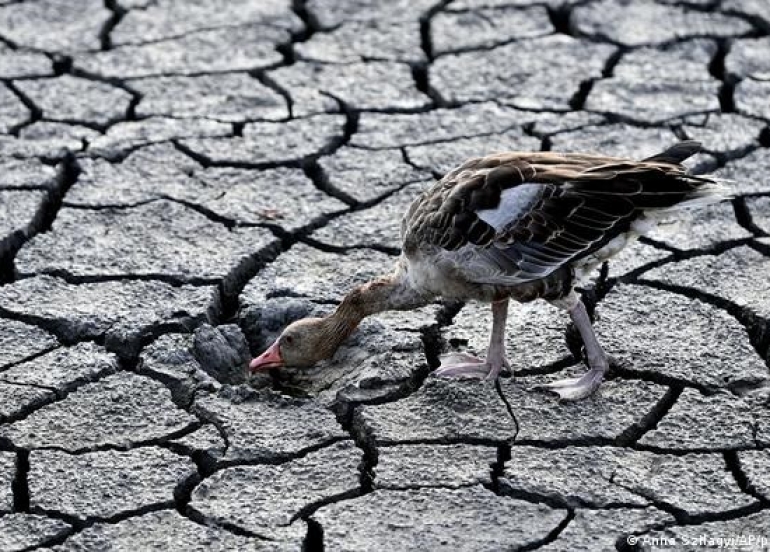 Serious drought hitting Europe, wider world