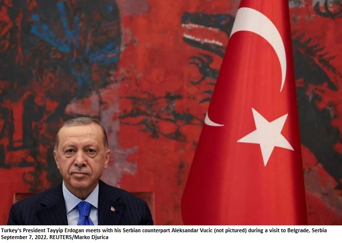 Turkey's Erdogan echoes Putin's gripes over grain exports