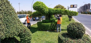 مدير هندسة المتنزهات: زراعة 75 الف شجرة في العاصمة اربيل