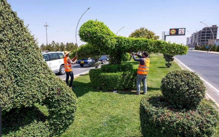 مدير هندسة المتنزهات: زراعة 75 الف شجرة في العاصمة اربيل