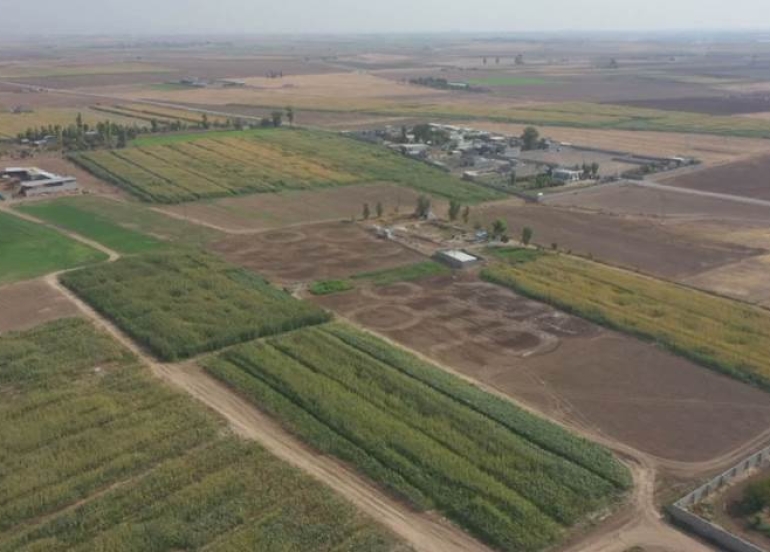 محكمة كركوك تعيد 3000 دونم من الأراضي الزراعية لفلاحين كورد