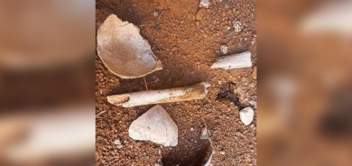 العثور على مقبرة جماعية جديدة في سنجار