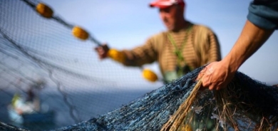 حظر صيد الأسماك في إقليم كوردستان لمدة 3 أشهر