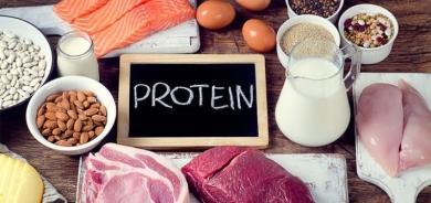 ما هو الفرق بين البروتين النباتي والحيواني وأيهما أفضل؟