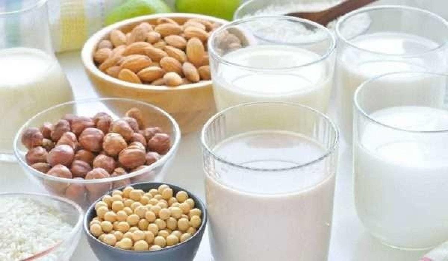 الحليب النباتي وفائدته الصحية الكبيرة