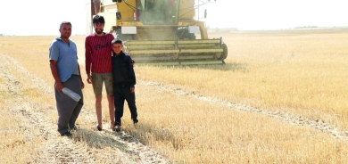 تركة الحرب تقوّض انتعاشة القمح في سوريا