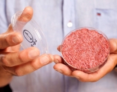 «الخلايا الخالدة» تحل أزمة اللحوم المستزرعة
