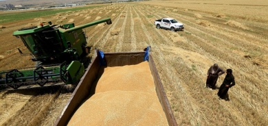 تجارة كوردستان تتسلم 10 مليارات دينار لدفع مستحقات المزارعين
