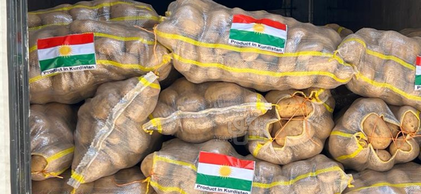 إقليم كوردستان يباشر بتصدير البطاطا إلى الإمارات