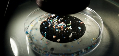 لأول مرة... العثور على جزيئات بلاستيكية دقيقة في قلوب البشر