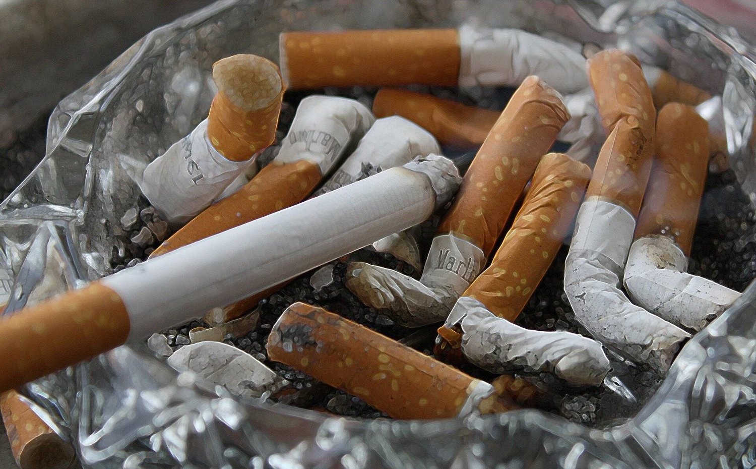 التدخين يمنع الجسم من التصدي للسرطان