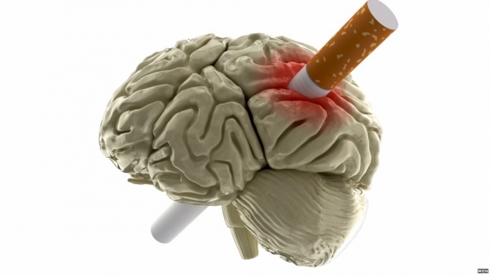 دراسة: التدخين يؤدي إلى انكماش للدماغ وقد يتسبب في الخرف