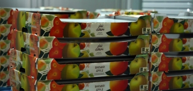 إقليم كوردستان يصدر التفاح إلى قطر