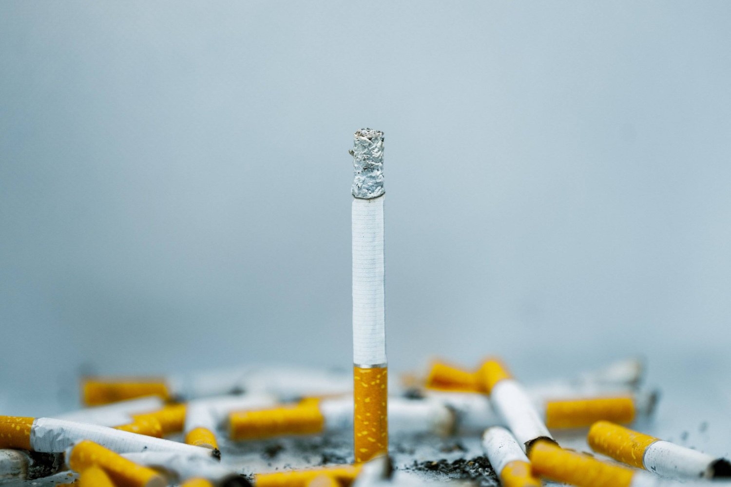 هل يزيد الإقلاع عن التدخين قبل الأربعين متوسط العمر؟