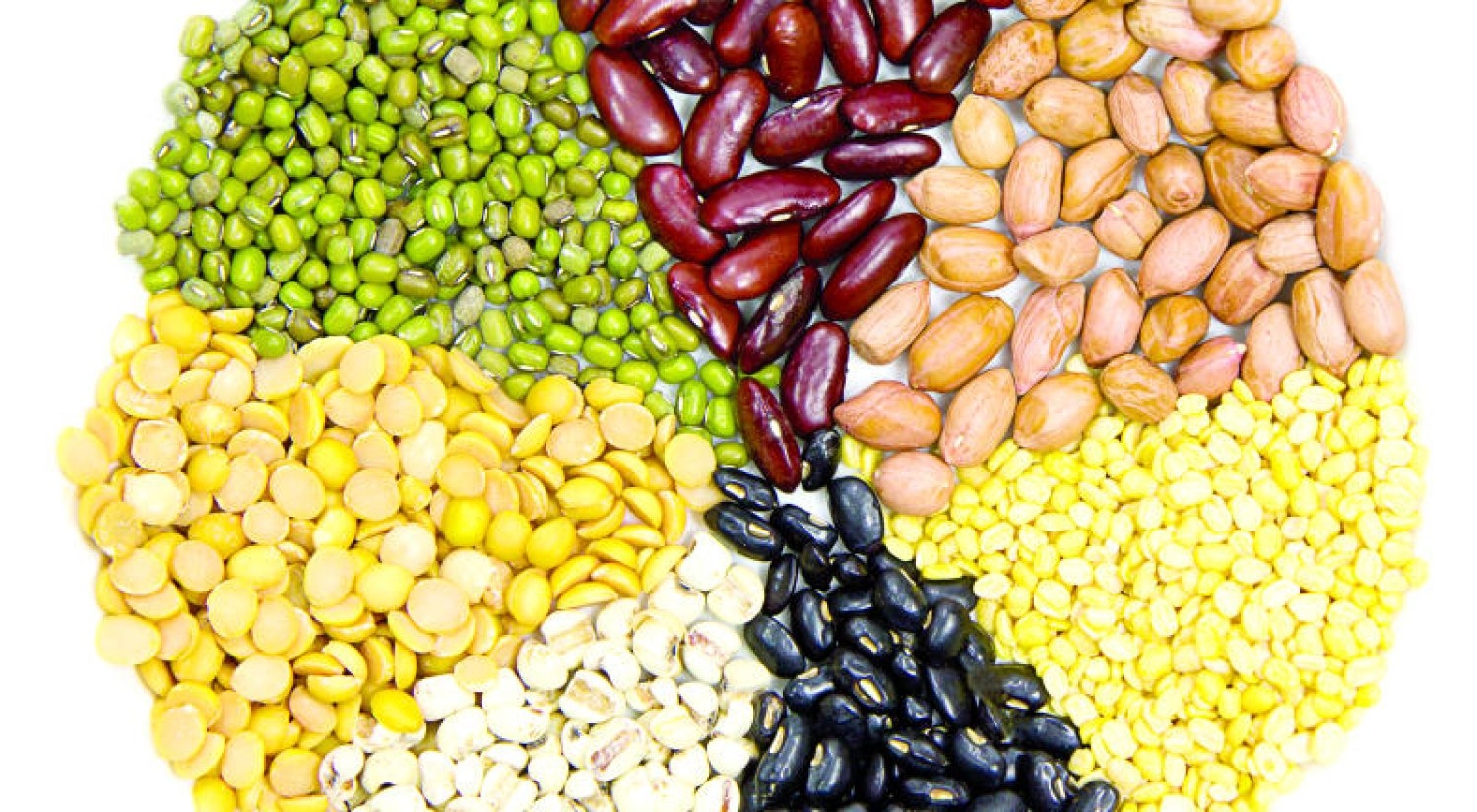 البروتين الحيواني أم النباتي... أيهما أفضل لإنقاص الوزن؟