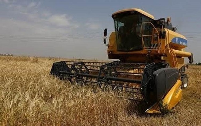 Kurdish Farmers Mobilize Against Iraqi Army's Crop Harvesting Ban in Kirkuk