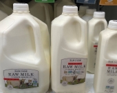 شعبية الحليب الخام ترتفع... لكن هل شربه آمن؟
