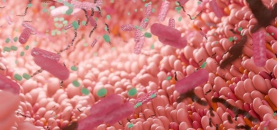 طرق طبيعية لتكثير البكتيريا الجيدة في الأمعاء