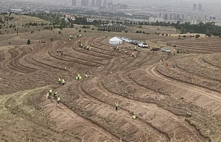 Kurdistan Regional Government Initiates Major Olive Tree Planting Project in Erbil