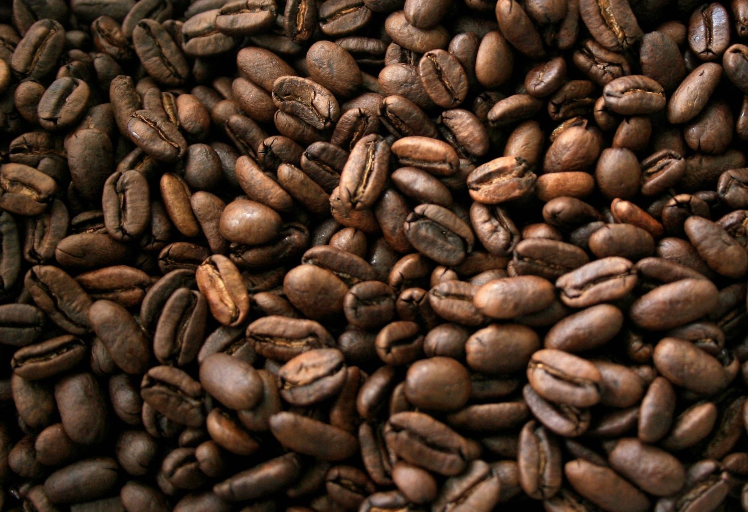 «العلاقة عكسية»... دراسة تكشف سر القهوة في الوقاية من «باركنسون»