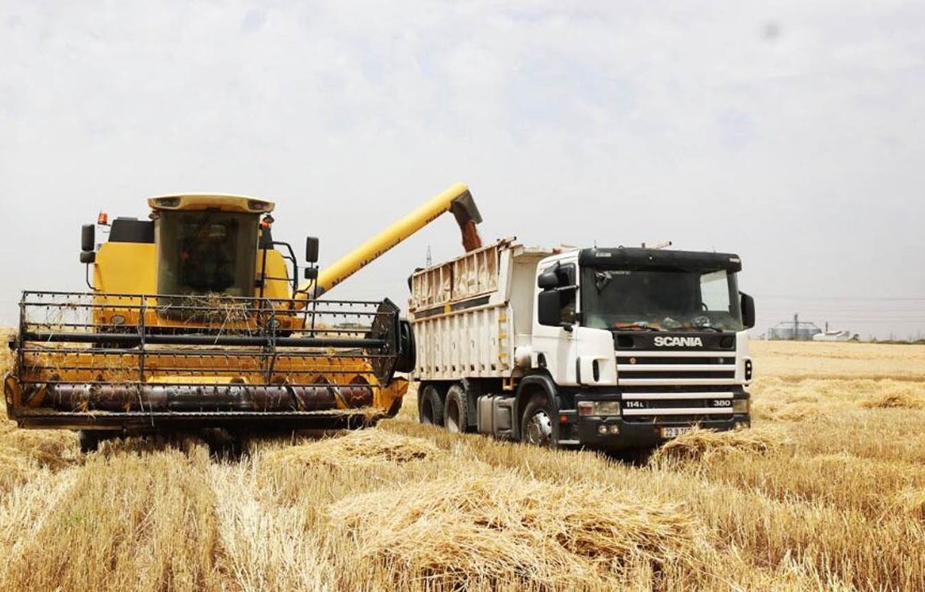 التجارة الاتحادية تعلن الاكتفاء الذاتي من القمح وتبرر تأخر عمليات التسويق من الإقليم بـ 
