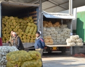 زراعة أربيل: نصدر حوالي 50 شاحنة خضار وفواكه إلى وسط وجنوب العراق يومياً