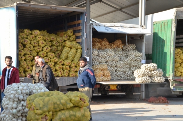 زراعة أربيل: نصدر حوالي 50 شاحنة خضار وفواكه إلى وسط وجنوب العراق يومياً