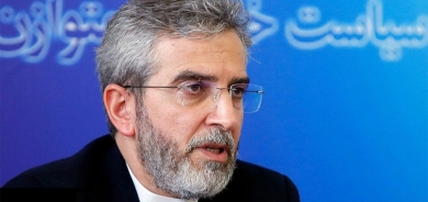 Iran's Acting Foreign Minister Ali Bagheri Kani to Visit Kurdistan Region and Iraq Amid Regional Diplomatic Tour