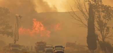 Death Toll Rises to 12 in Devastating Forest Fire in Southeastern Turkey