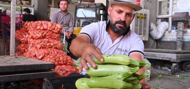 تسويق 7500 طن يومياً من فواكه وخضروات إقليم كوردستان لباقي المحافظات العراقية