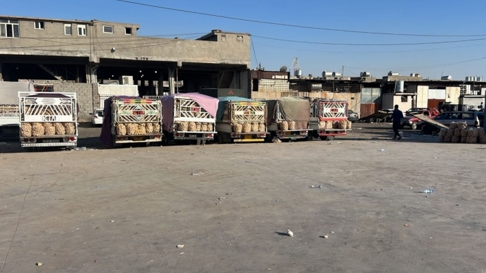 تسويق اكثر من 250 الف طن من الفواكه والخضار من كوردستان الى وسط وجنوب العراق منذ بداية العام