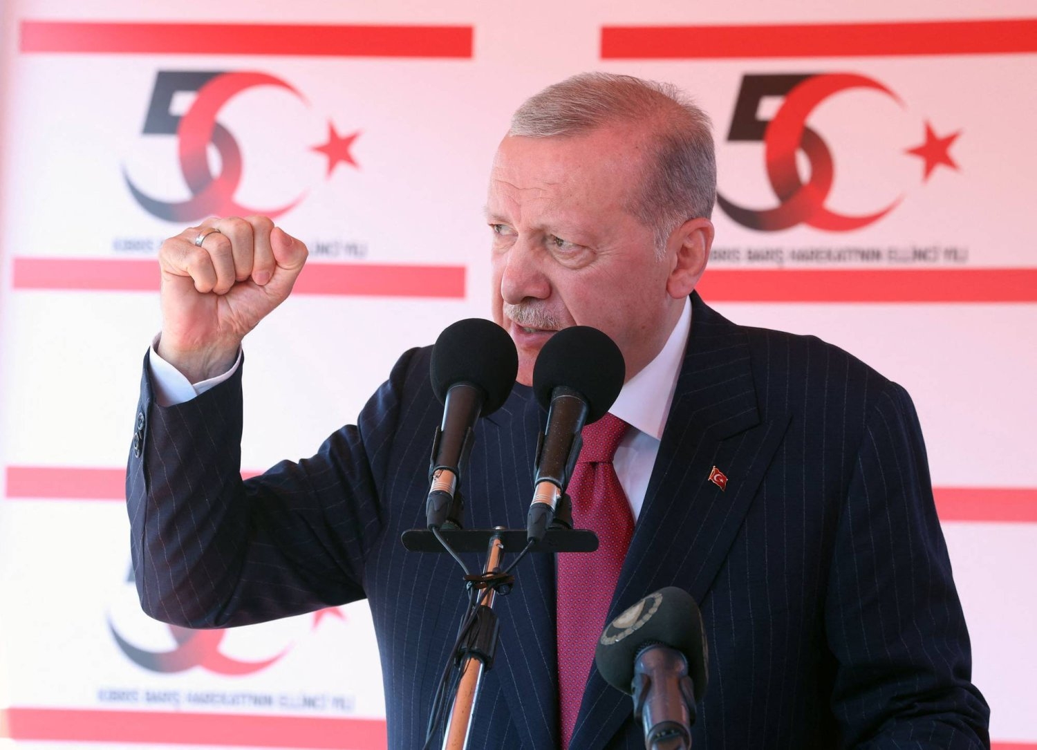 إردوغان: تركيا مستعدة لإقامة قاعدة بحرية في قبرص «إذا دعت الحاجة»