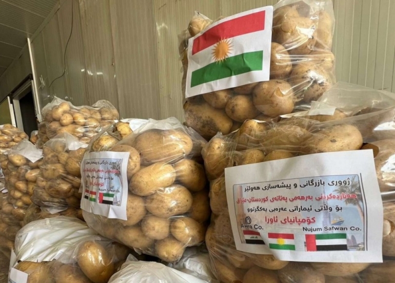 إقليم كوردستان يُصدر 100 الف طن من البطاطا الى الامارات