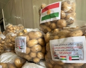 إقليم كوردستان يُصدر 100 الف طن من البطاطا الى الامارات