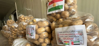 Kurdistan Region to Export 5,000 Tons of Potatoes to UAE