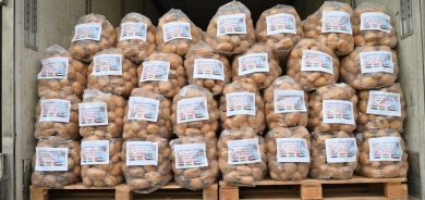 حكومة إقليم كوردستان تتوقع ان يصل انتاج البطاطس إلى مليون طن هذا العام