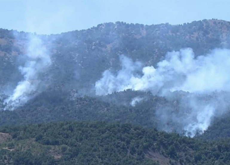 Turkish Forces Neutralize 13 PKK Fighters in Kurdistan Region Border Areas