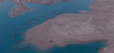 Kurdistan Regional Government Boosts Fish Resources and Local Economy through New Dams and Ponds