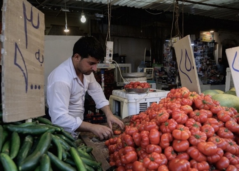 KRG Announces Ban on Tomato Imports to Boost Local Agriculture